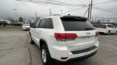 White Jeep SUV parked in a dealership lot with overhead power lines in the background.
