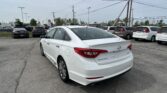 White Hyundai Sonata seen from the rear three-quarter view in a busy car dealership lot with many cars and overhead power lines in the background.