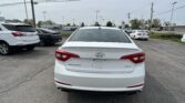 Rear view of a white Hyundai Sonata Sport parked in a busy car lot with other vehicles and power lines overhead.