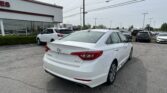 Rear view of a white Hyundai Sonata Sport in a car dealership lot, with other vehicles and a showroom building on the left.