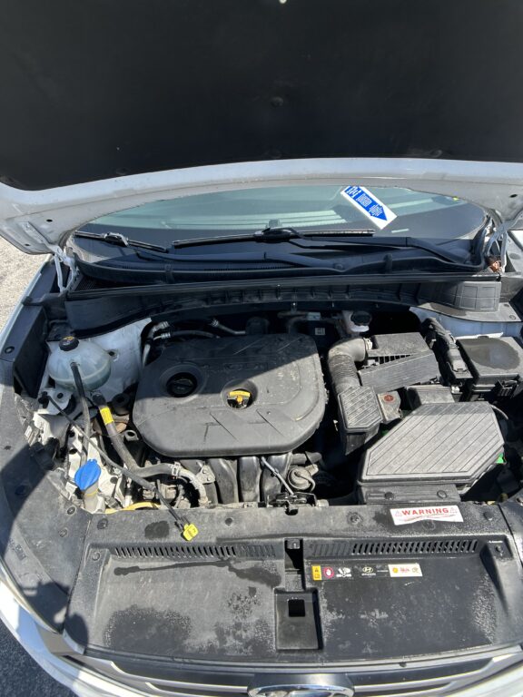 Open car hood revealing engine bay with battery, coolant tank, and hoses Visible on left is the coolant reservoir and various hoses.