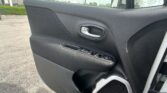 Inside view of a car door panel with a silver door handle, window and lock controls, and a large speaker grille; outside asphalt and greenery visible through the window.