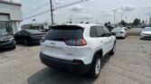 Rear view of a white Jeep SUV in a car dealership lot, with many parked cars and a showroom building to the left.