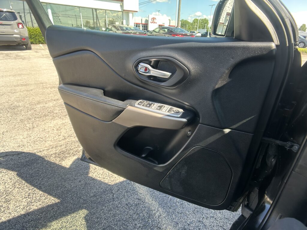 Close-up of a car door interior featuring a silver door handle, black textured trim, and window controls with a speaker grille nearby.