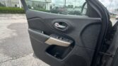 Open car door panel with silver handle and control buttons; view of a dealership lot and a row of cars outside through the window