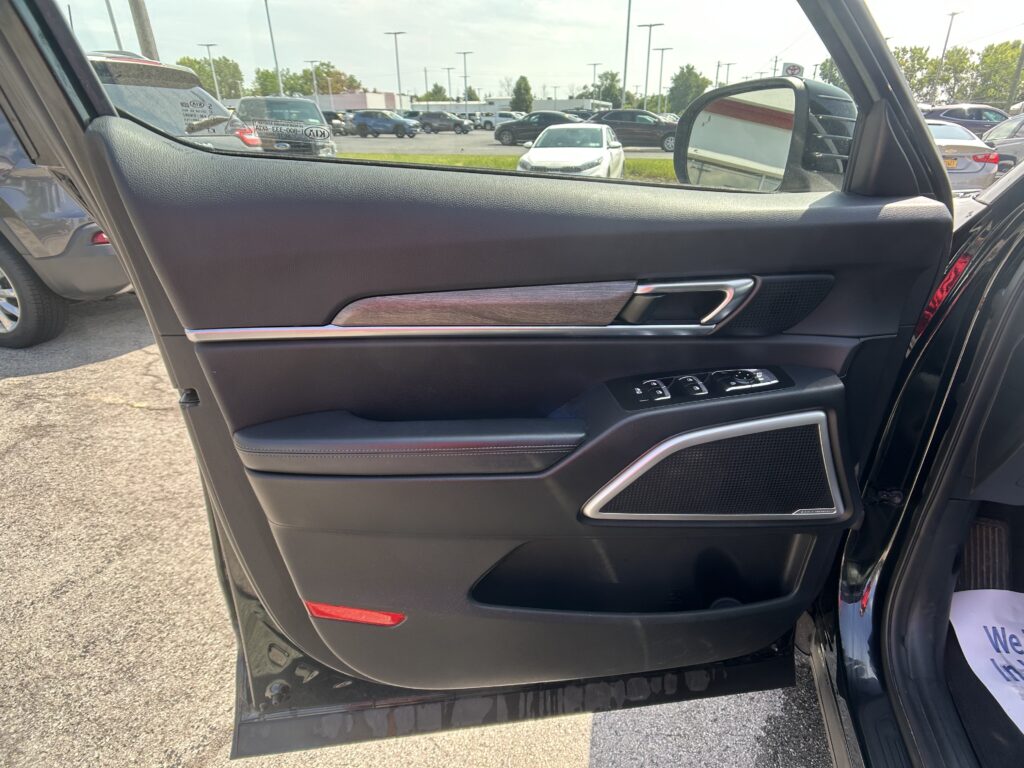 Inside view of a car door panel: black textured surface with wood trim, chrome handle, and control buttons near the armrest.