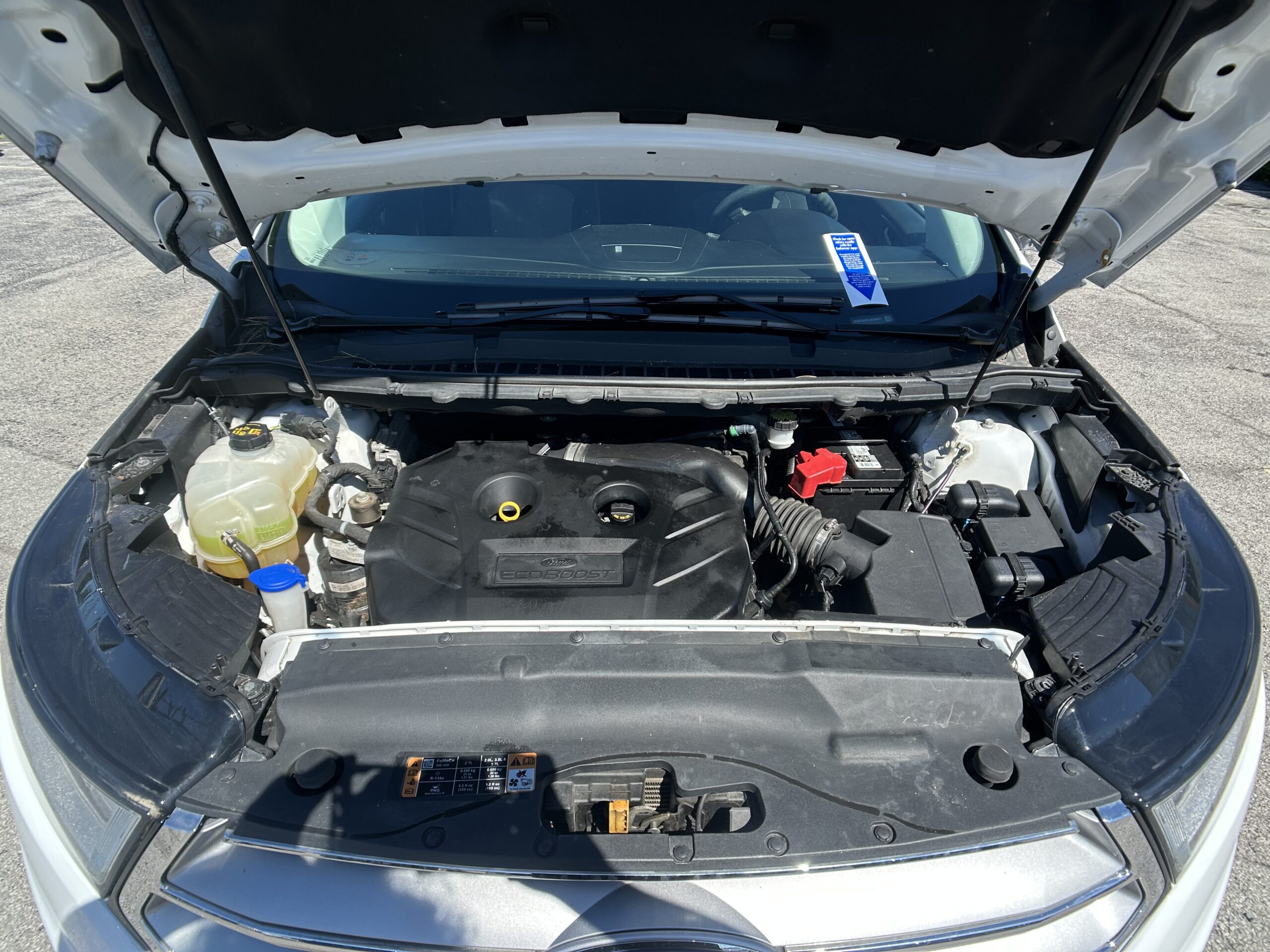 Photo 19
